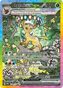 Carte du set Pokémon
