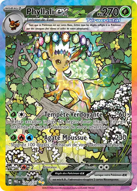 Carte du set Pokémon