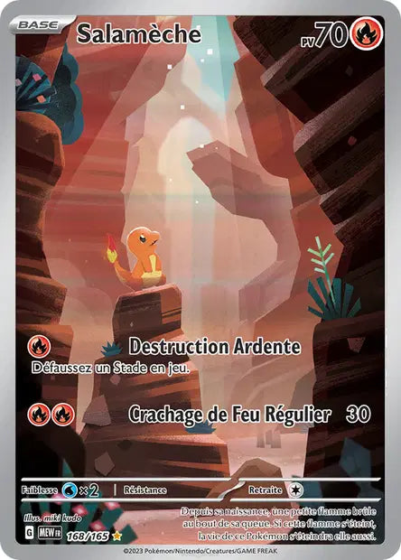 Carte du set Pokémon