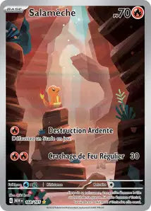 Carte du set Pokémon