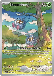 Carte du set Pokémon