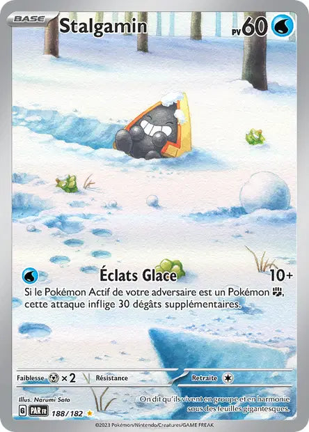 Carte du set Pokémon